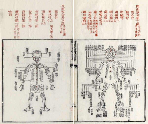 圖片為道光23年《補註洗寃録集證》書中內容，（宋）宋慈原著，（淸）阮其新補注。圖｜Wikipedia